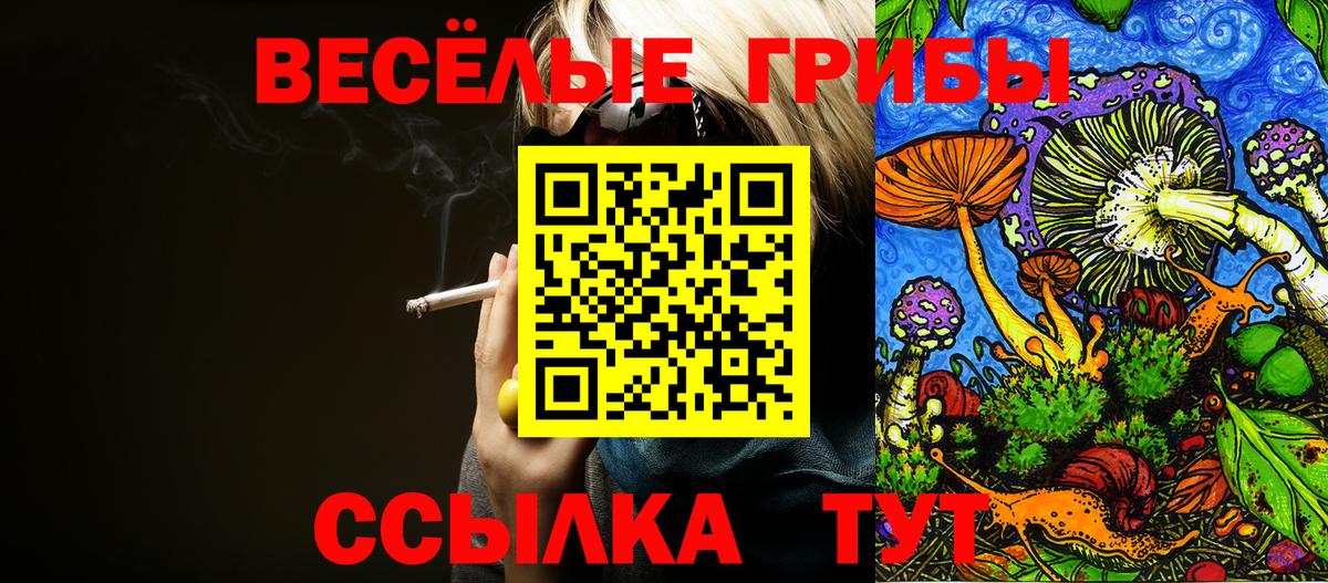 Казань  Псилоцибиновые грибы Psilocybine cubensis  Вход с VPN 